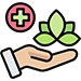 Systemic Wellness